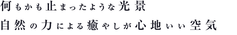 何もかも止まったような光景 自然の力による癒やしが心地いい空気